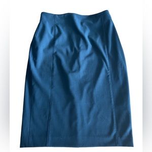 Ann Taylor Womens Blue Pencil Skirt